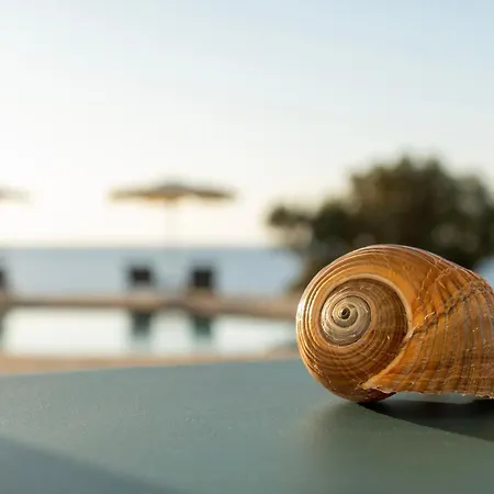 Borgo Thassos * Astris