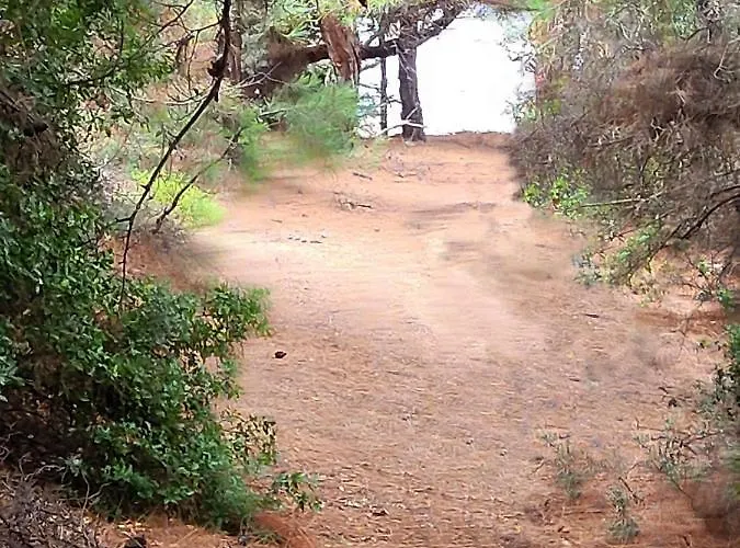 Borgo Thassos Apartment Astris