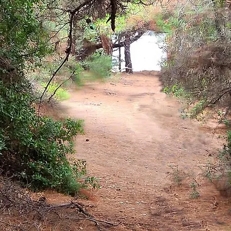 Borgo Thassos 公寓 阿斯特里斯