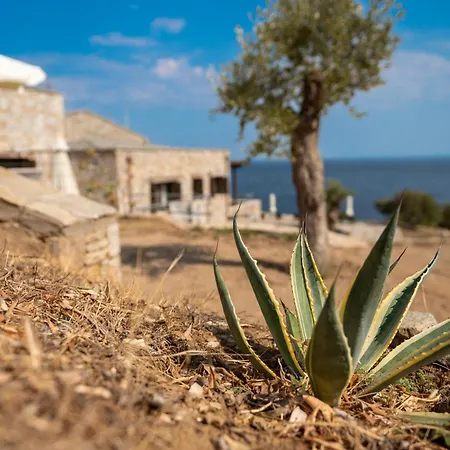 Borgo Thassos * 阿斯特里斯