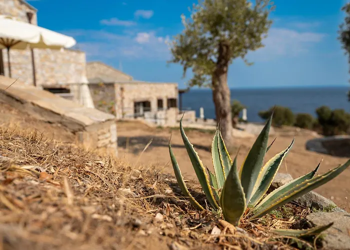 Borgo Thassos * 아스트리스