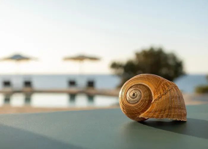 Borgo Thassos * 아스트리스